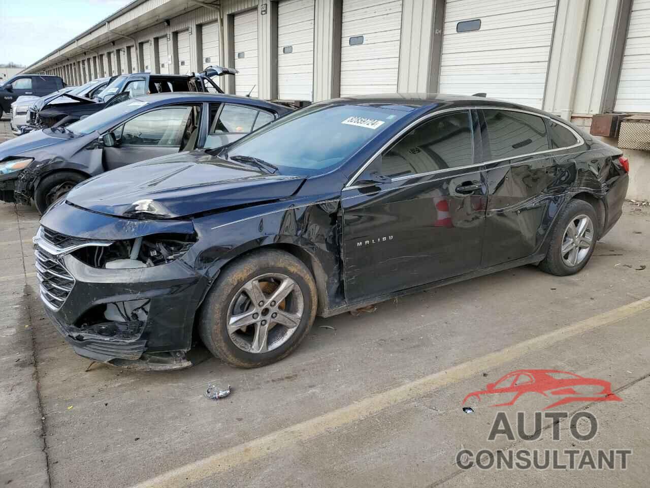 CHEVROLET MALIBU 2019 - 1G1ZB5STXKF216646