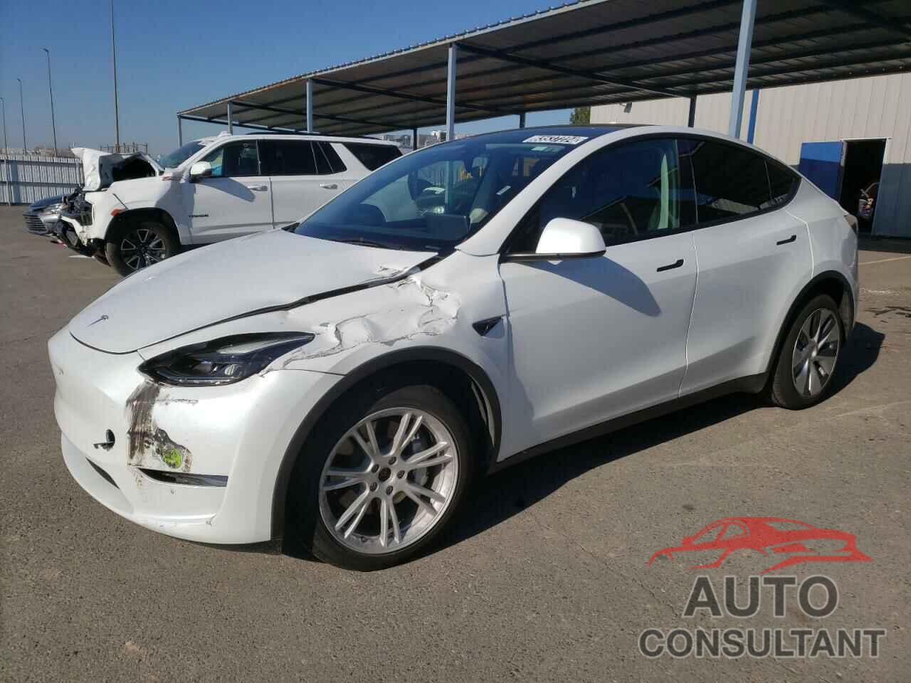 TESLA MODEL Y 2023 - 7SAYGDEEXPF639785