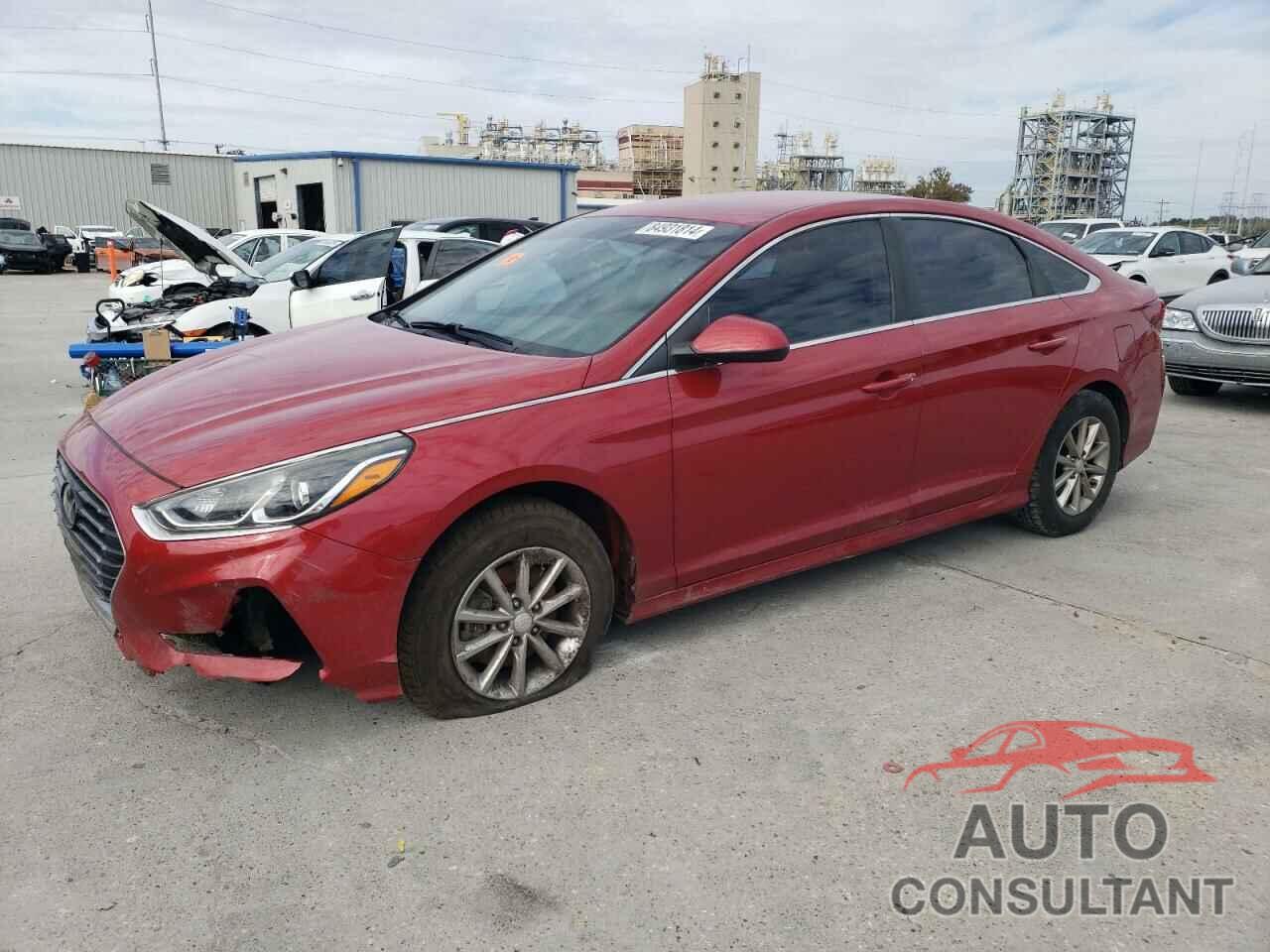 HYUNDAI SONATA 2019 - 5NPE24AF0KH767850