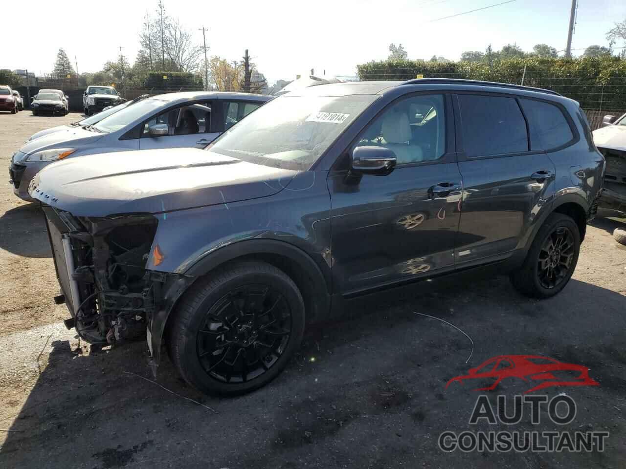 KIA TELLURIDE 2021 - 5XYP5DHC8MG126595