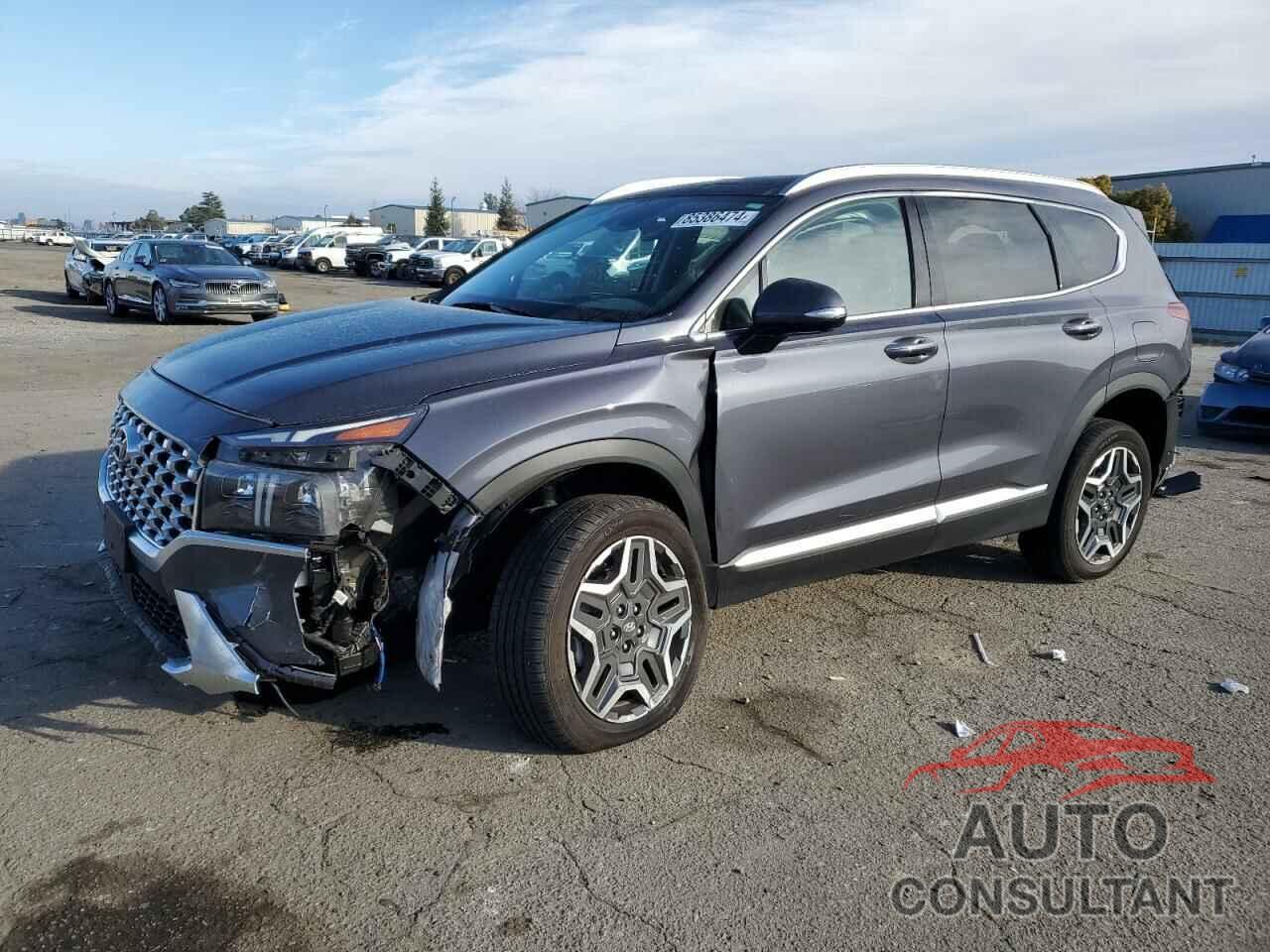 HYUNDAI SANTA FE 2023 - KM8S7DA20PU074285