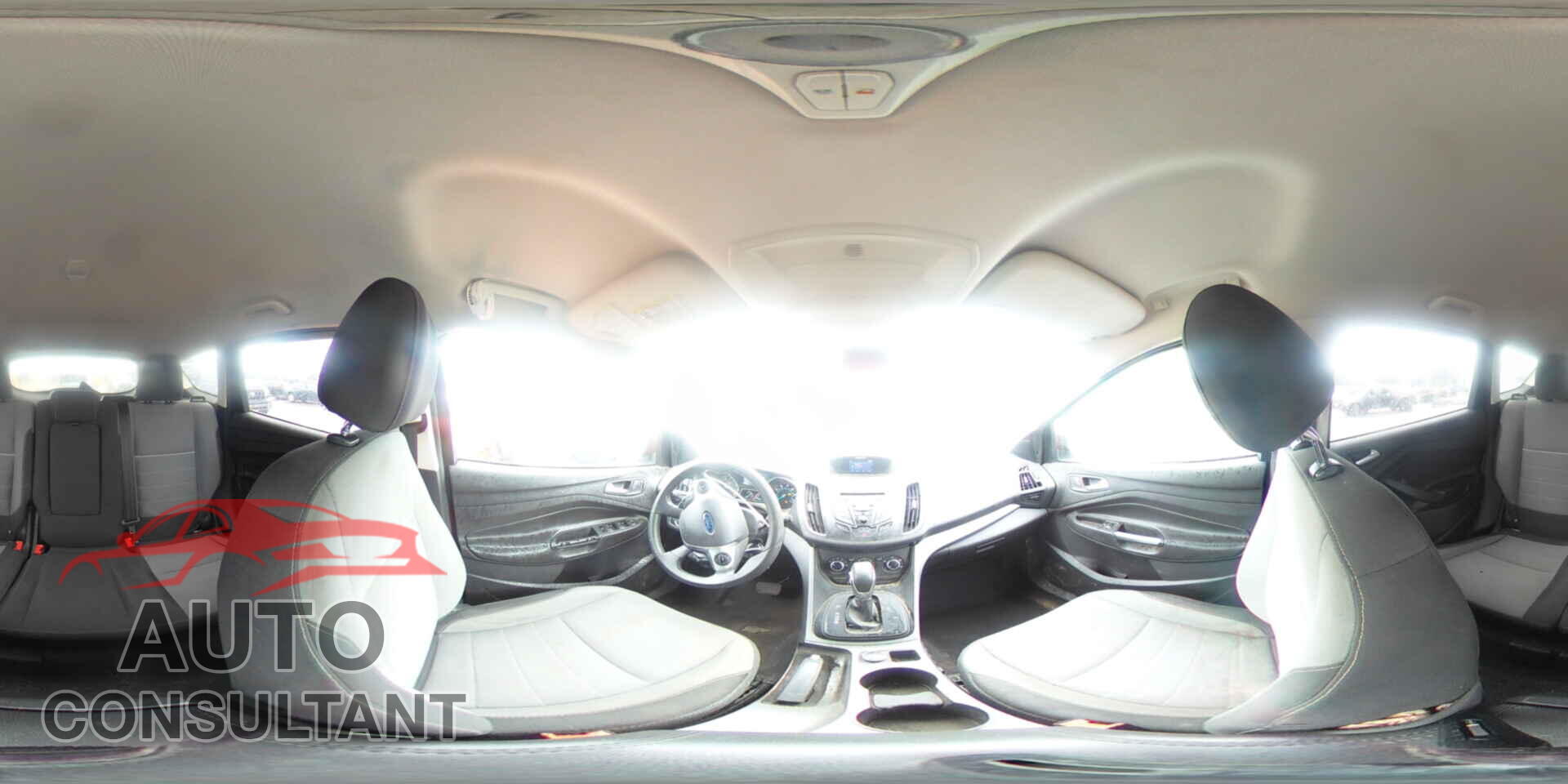 FORD ESCAPE 2014 - 1FMCU0GX4EUE21946