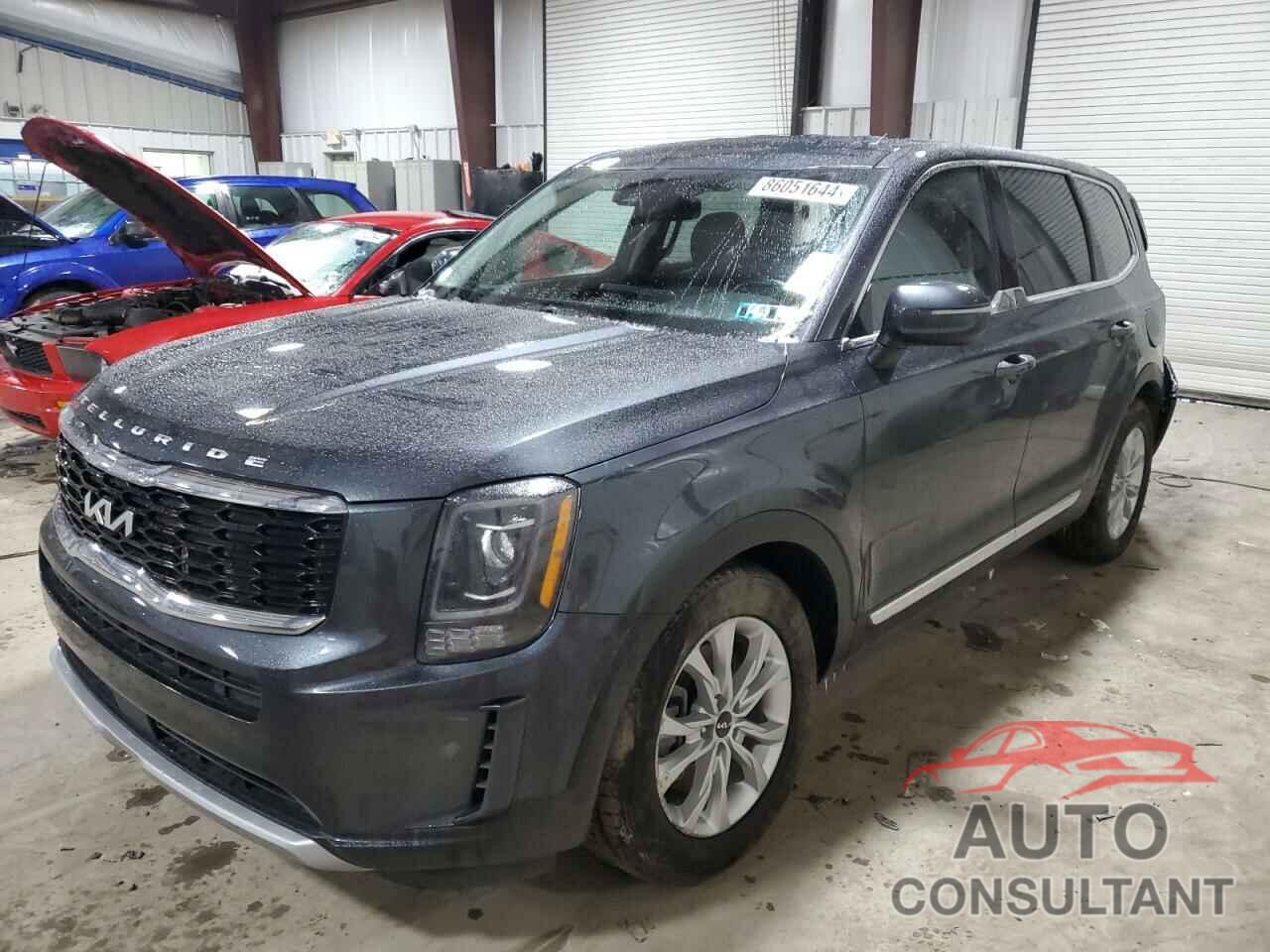 KIA TELLURIDE 2022 - 5XYP2DHC4NG307459