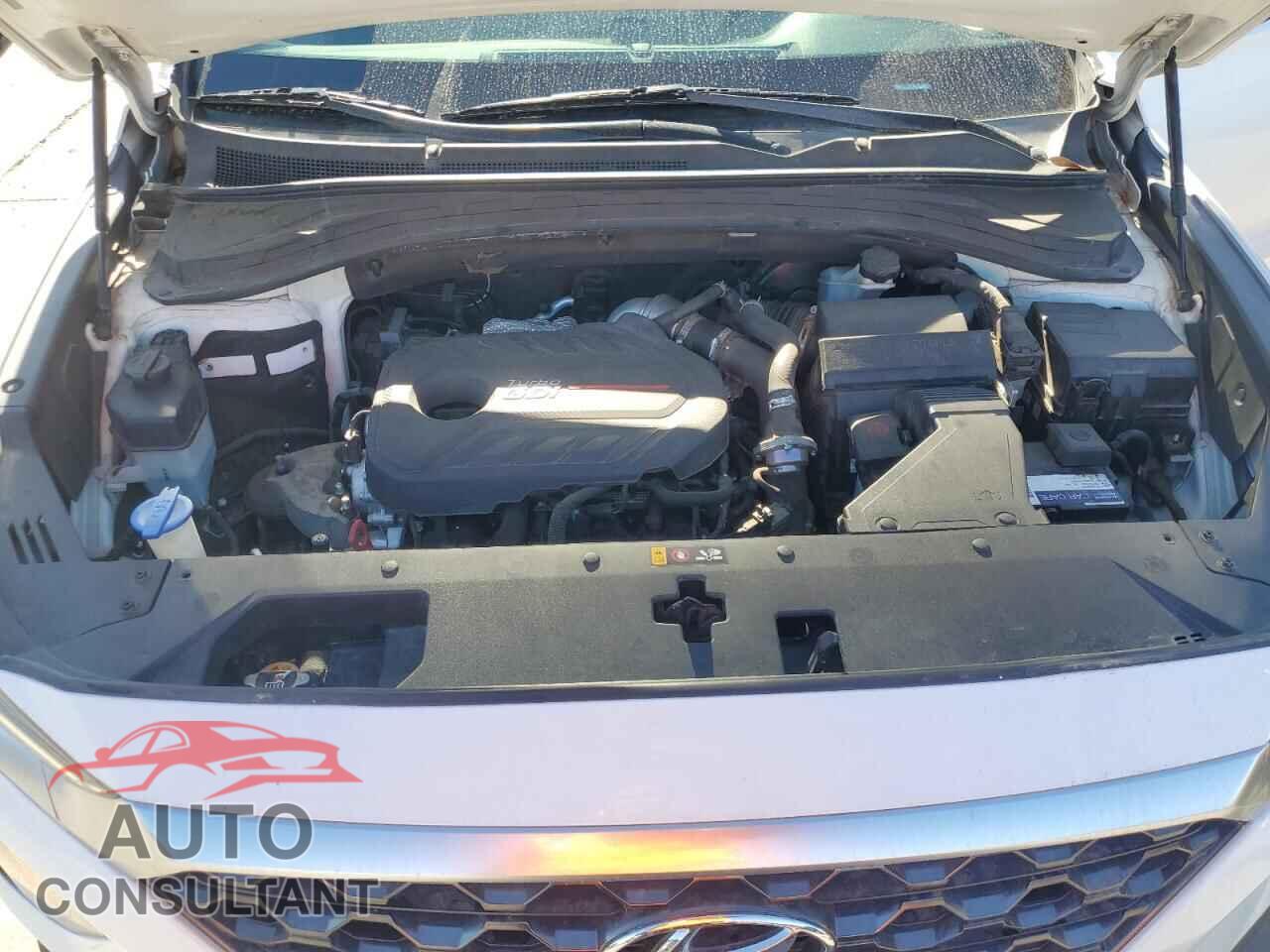 HYUNDAI SANTA FE 2019 - 5NMS53AA2KH013144