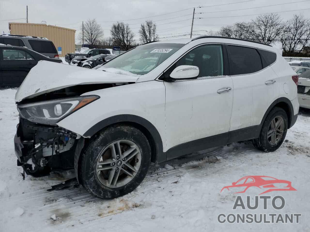 HYUNDAI SANTA FE 2017 - 5NMZUDLB9HH026933