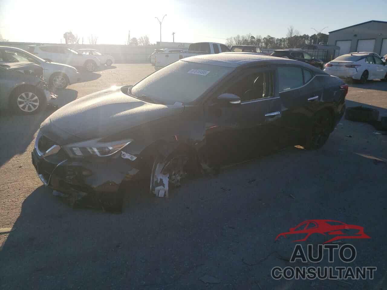 NISSAN MAXIMA 2017 - 1N4AA6AP9HC436183