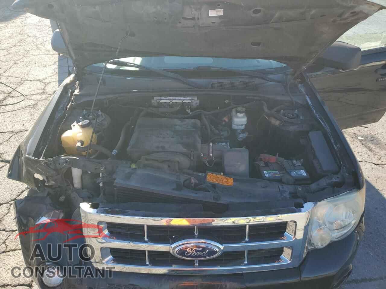FORD ESCAPE 2010 - 1FMCU9DG7AKD43919
