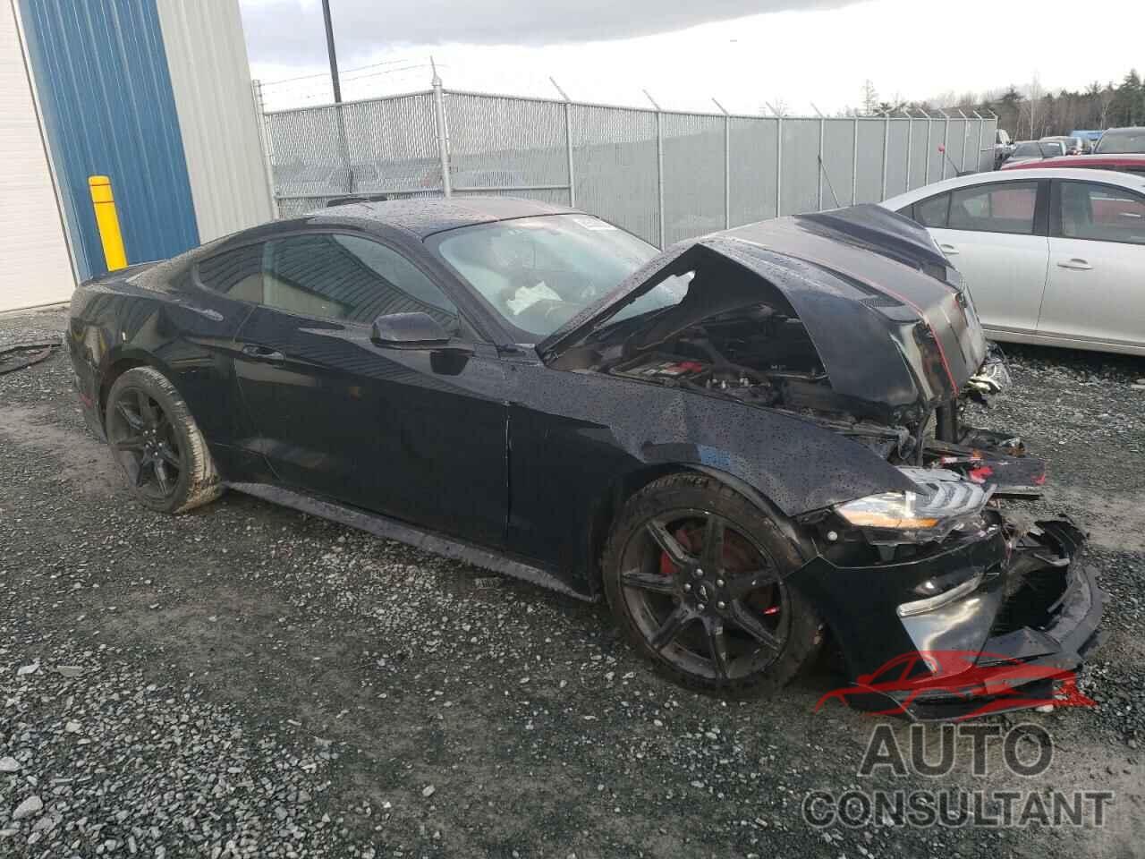 FORD ALL Models 2019 - 1FA6P8TH6K5154892