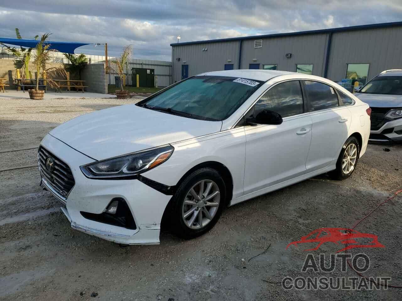 HYUNDAI SONATA 2019 - 5NPE24AF9KH821761