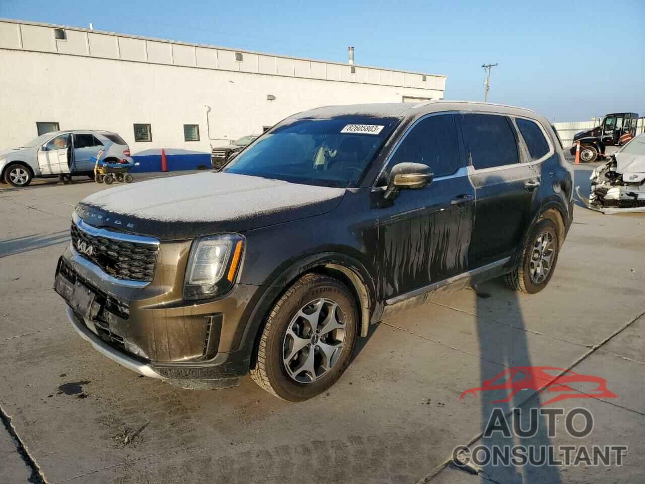 KIA TELLURIDE 2022 - 5XYP3DHC8NG238384