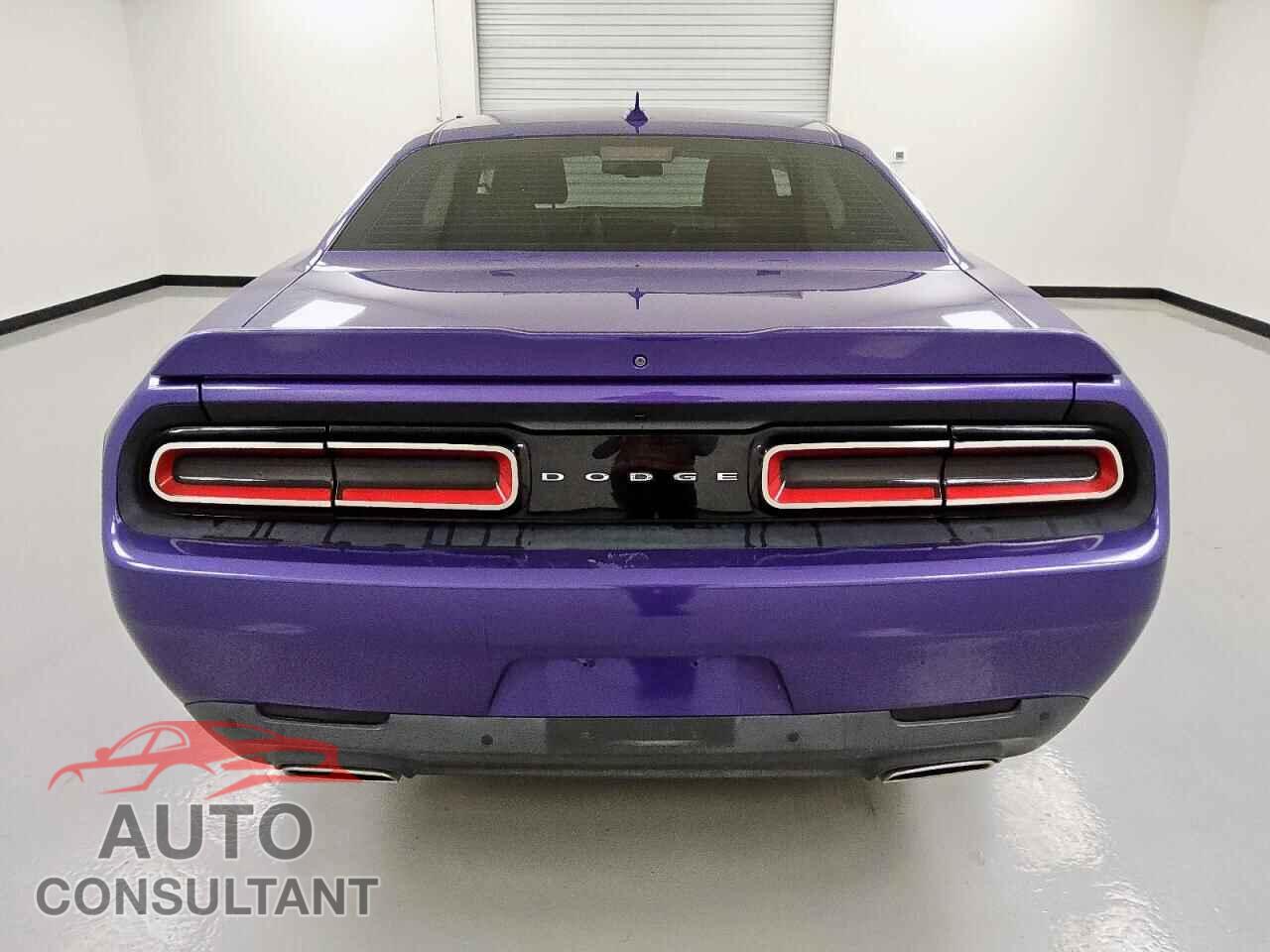 DODGE CHALLENGER 2019 - 2C3CDZAG2KH533908