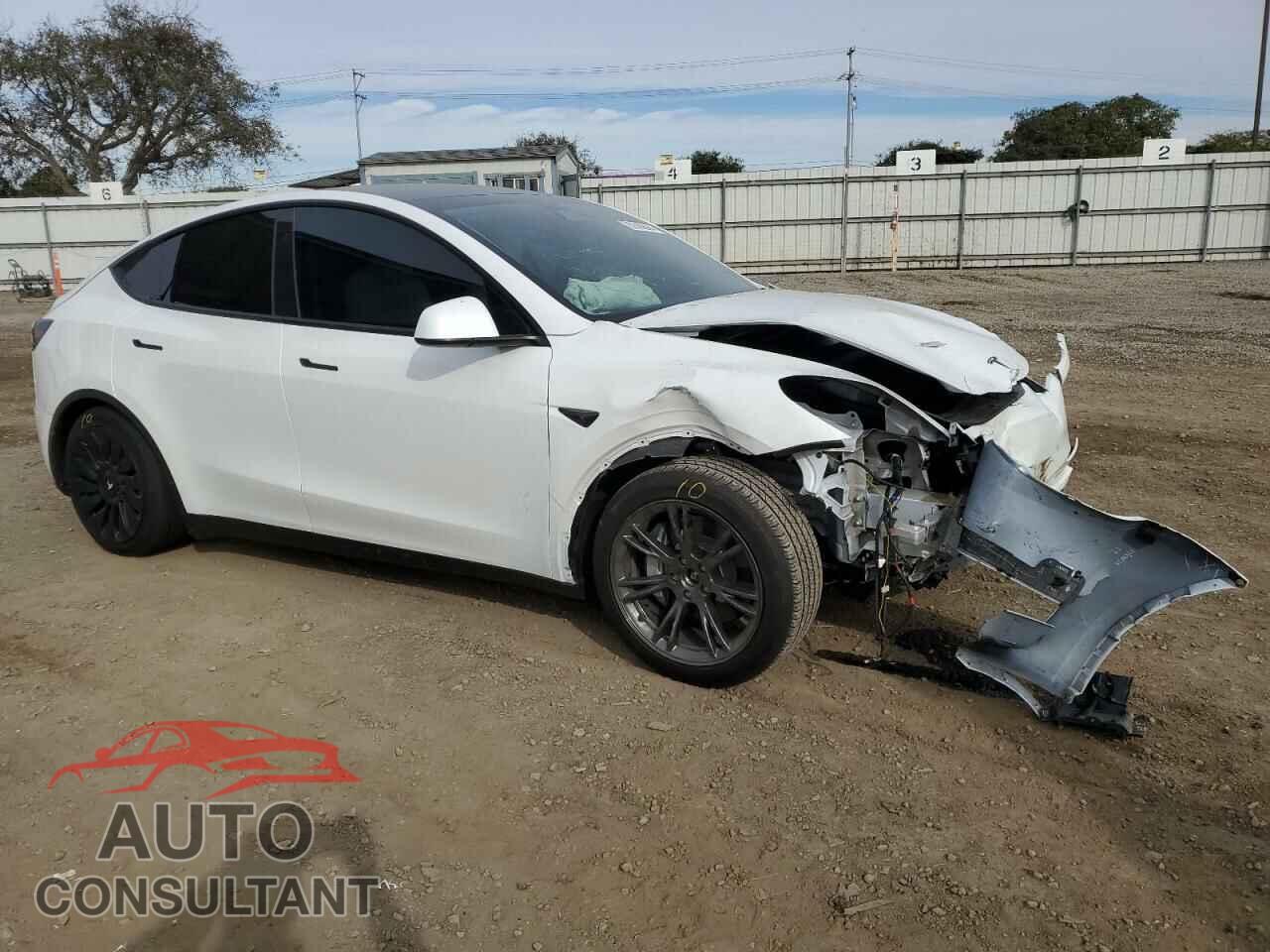 TESLA MODEL Y 2024 - 7SAYGDEEXRF104913