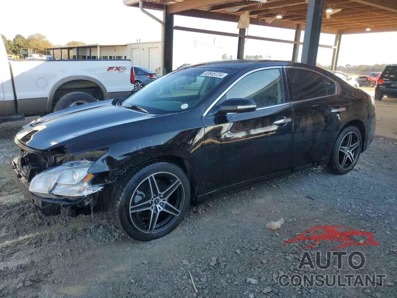 NISSAN MAXIMA 2009 - 1N4AA51E89C848847