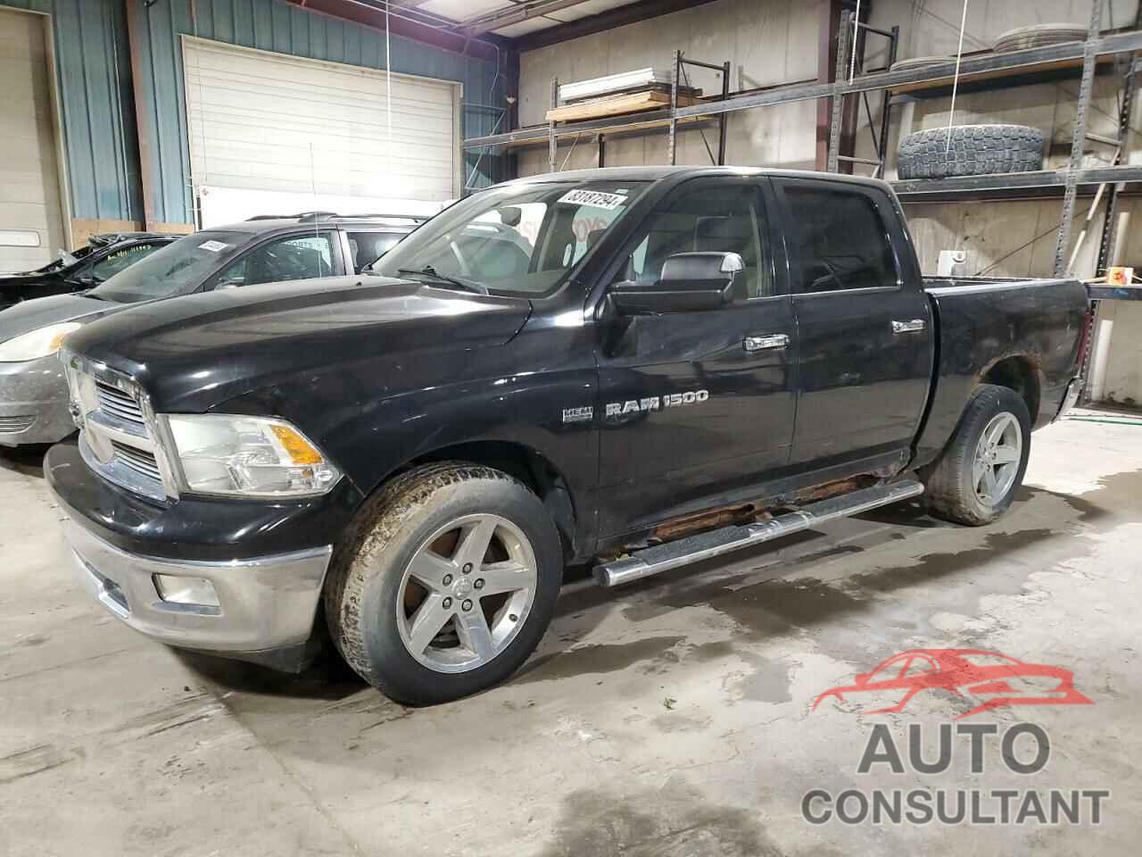 DODGE All Models 2011 - 1D7RV1CT3BS534059