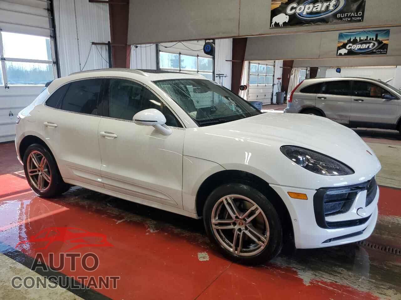 PORSCHE MACAN BASE 2023 - WP1AA2A55PLB12856