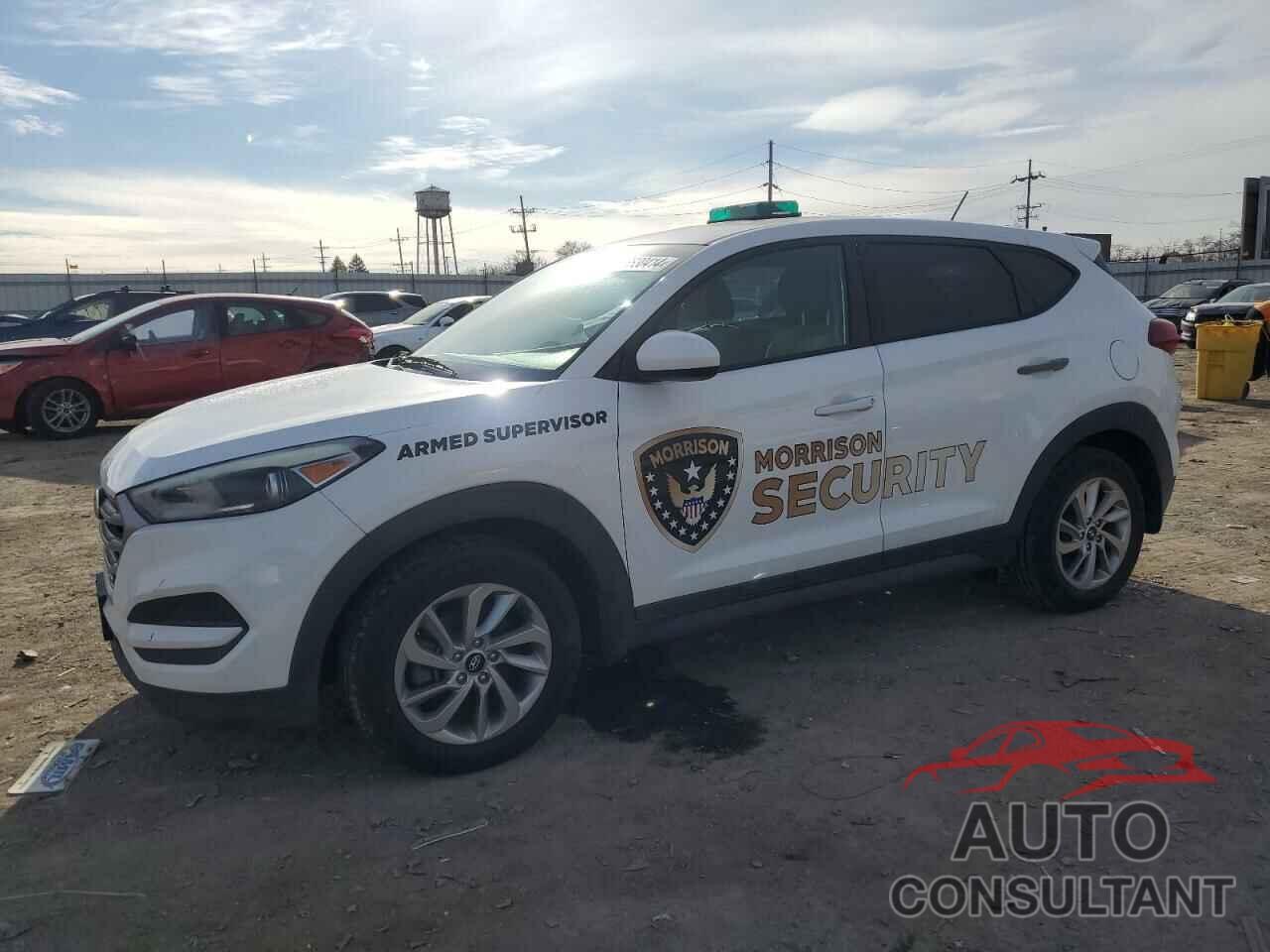 HYUNDAI TUCSON 2017 - KM8J23A43HU391565