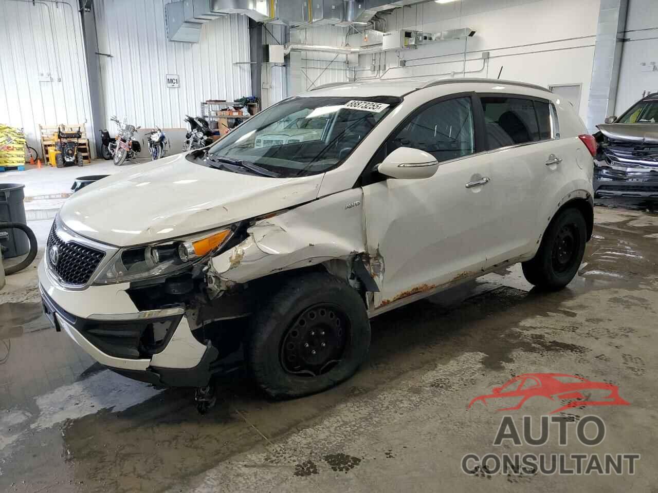 KIA SPORTAGE 2016 - KNDPCCAC0G7851037