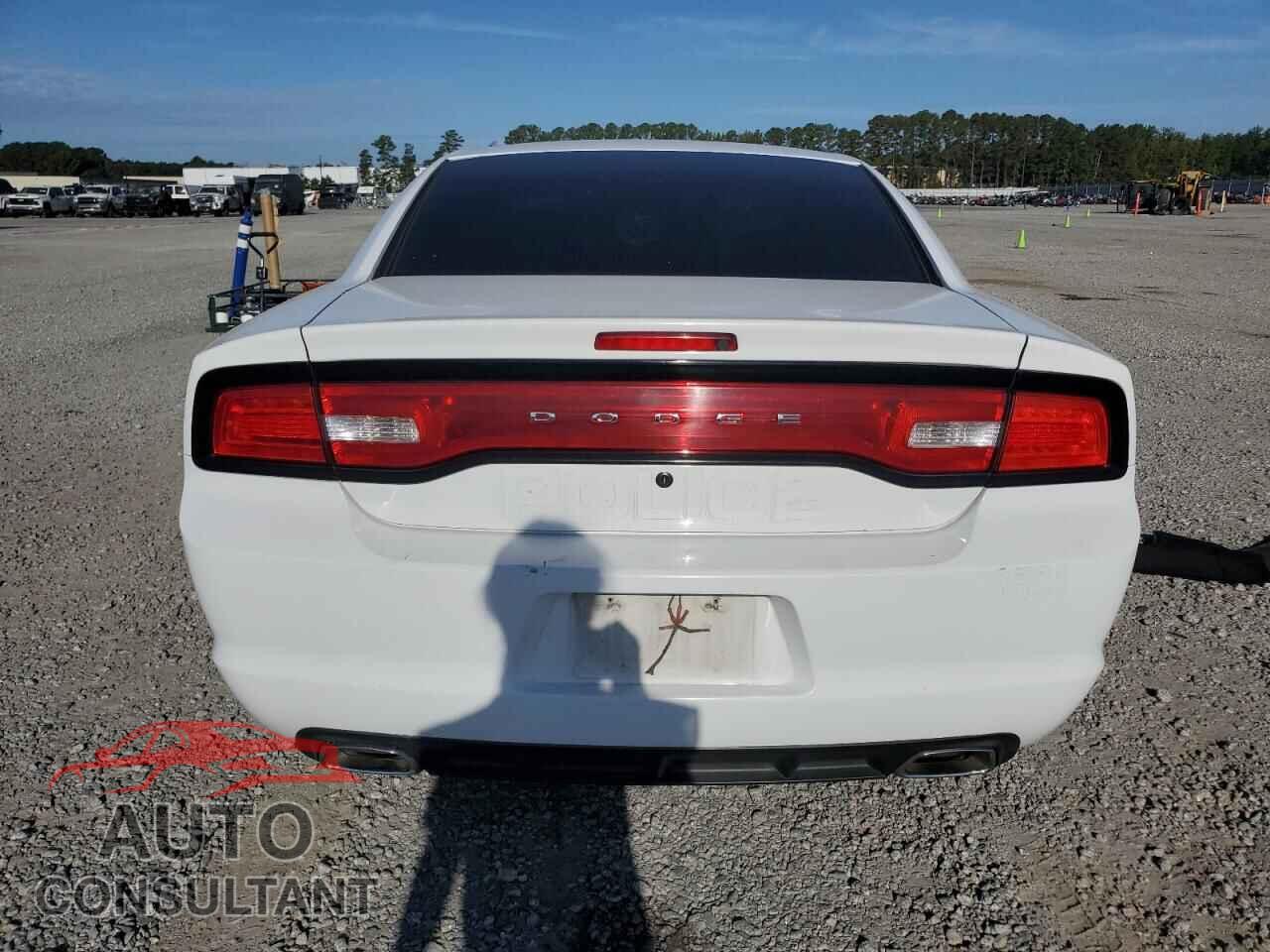 DODGE CHARGER 2013 - 2C3CDXAT1DH737801