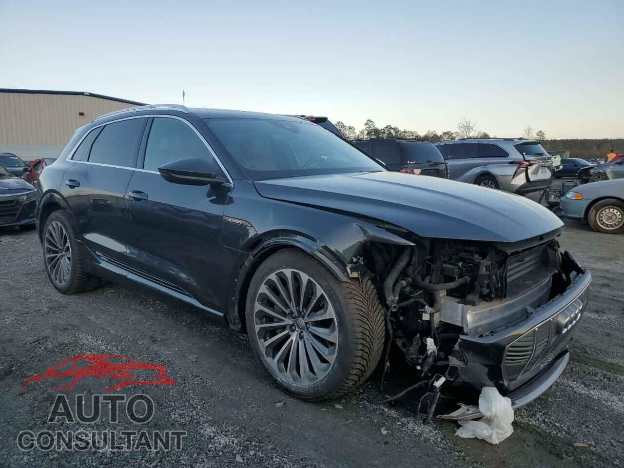 AUDI E-TRON 2019 - WA1VABGE4KB022164