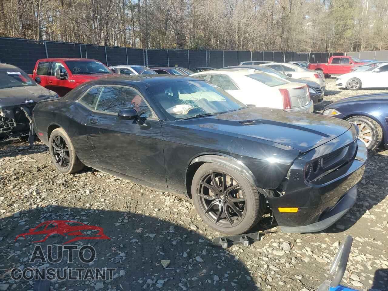 DODGE CHALLENGER 2014 - 2C3CDYBT3EH197017
