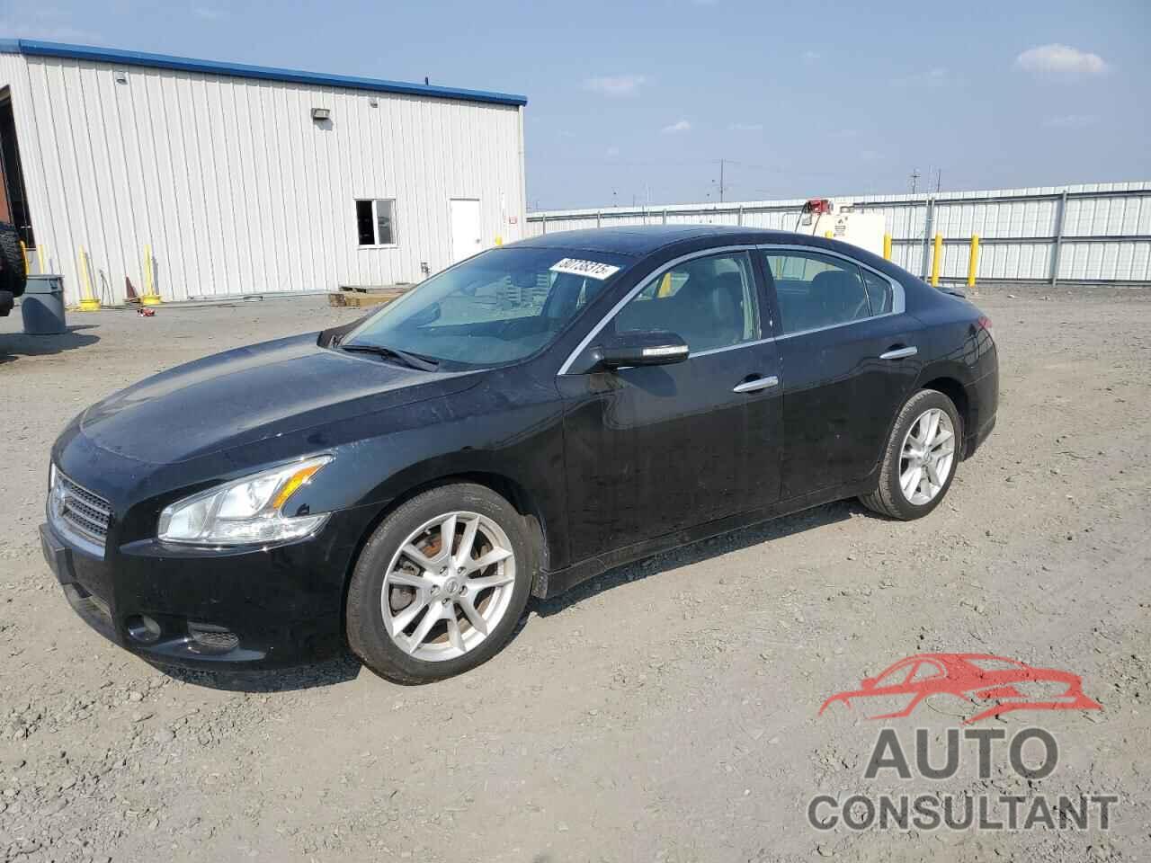 NISSAN MAXIMA 2011 - 1N4AA5AP9BC839341
