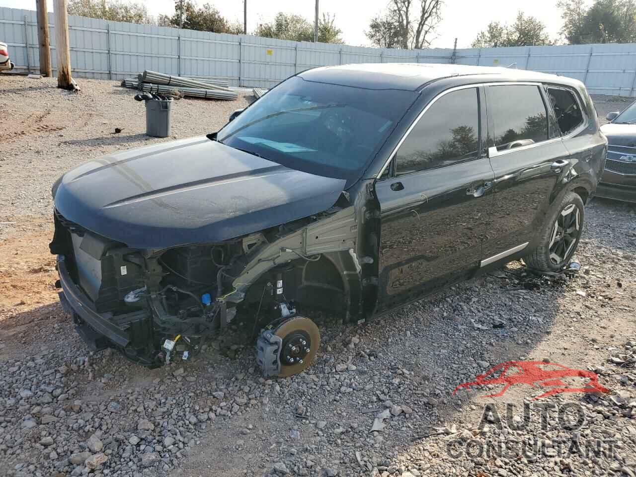 KIA TELLURIDE 2024 - 5XYP6DGC4RG546828