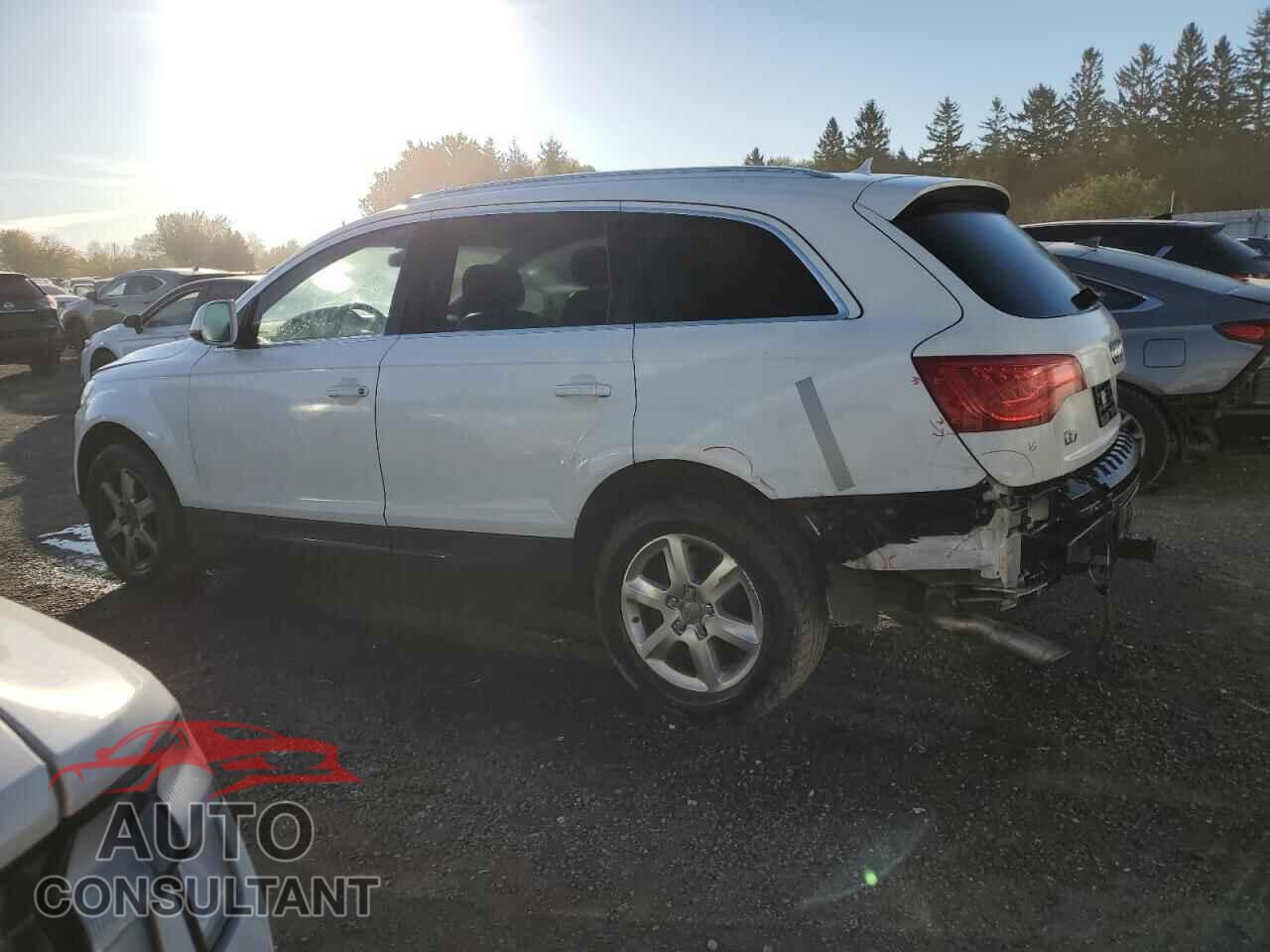 AUDI Q7 2010 - WA1JMCFE0AD005927