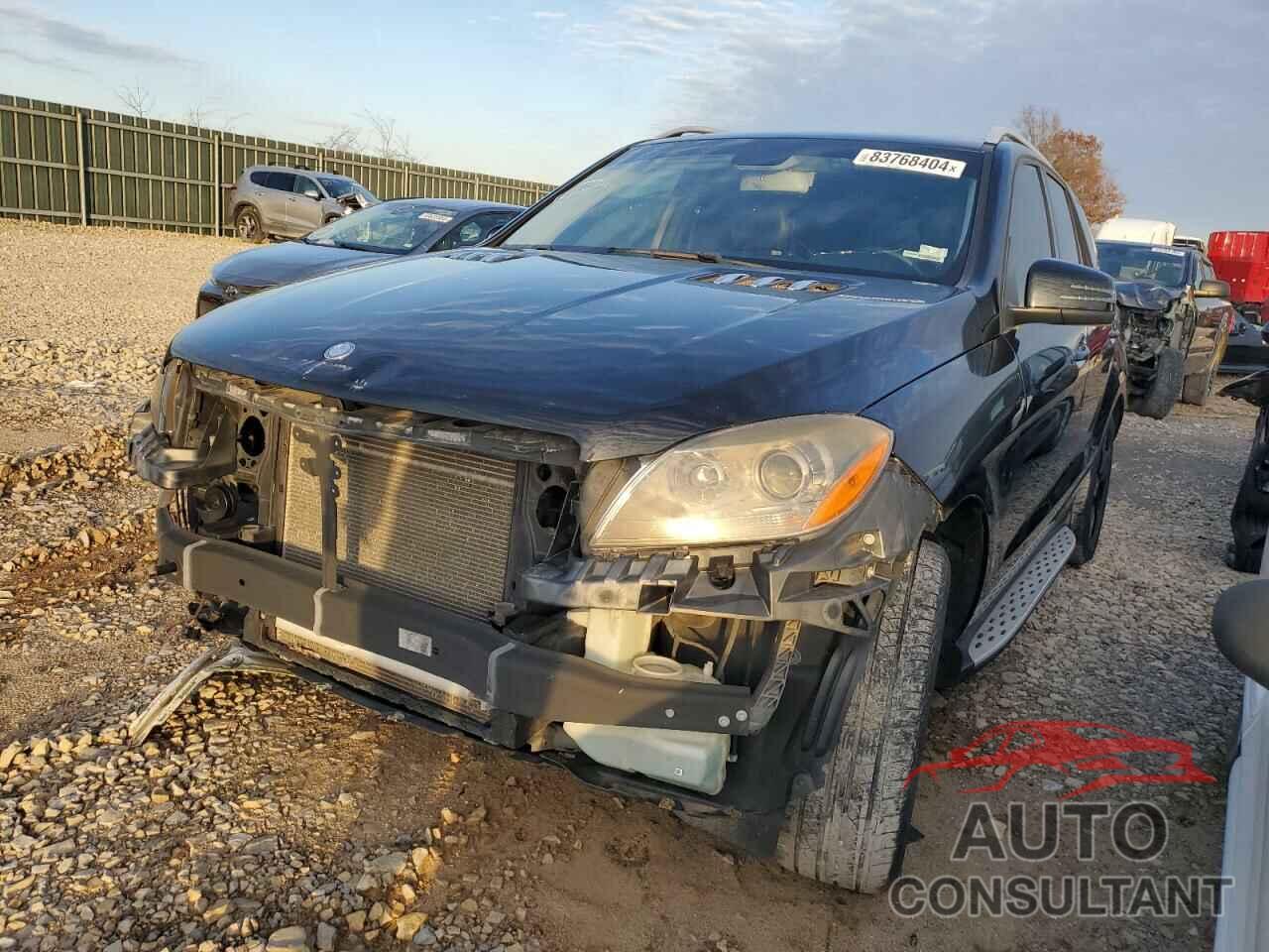 MERCEDES-BENZ M-CLASS 2013 - 4JGDA5HB4DA165837