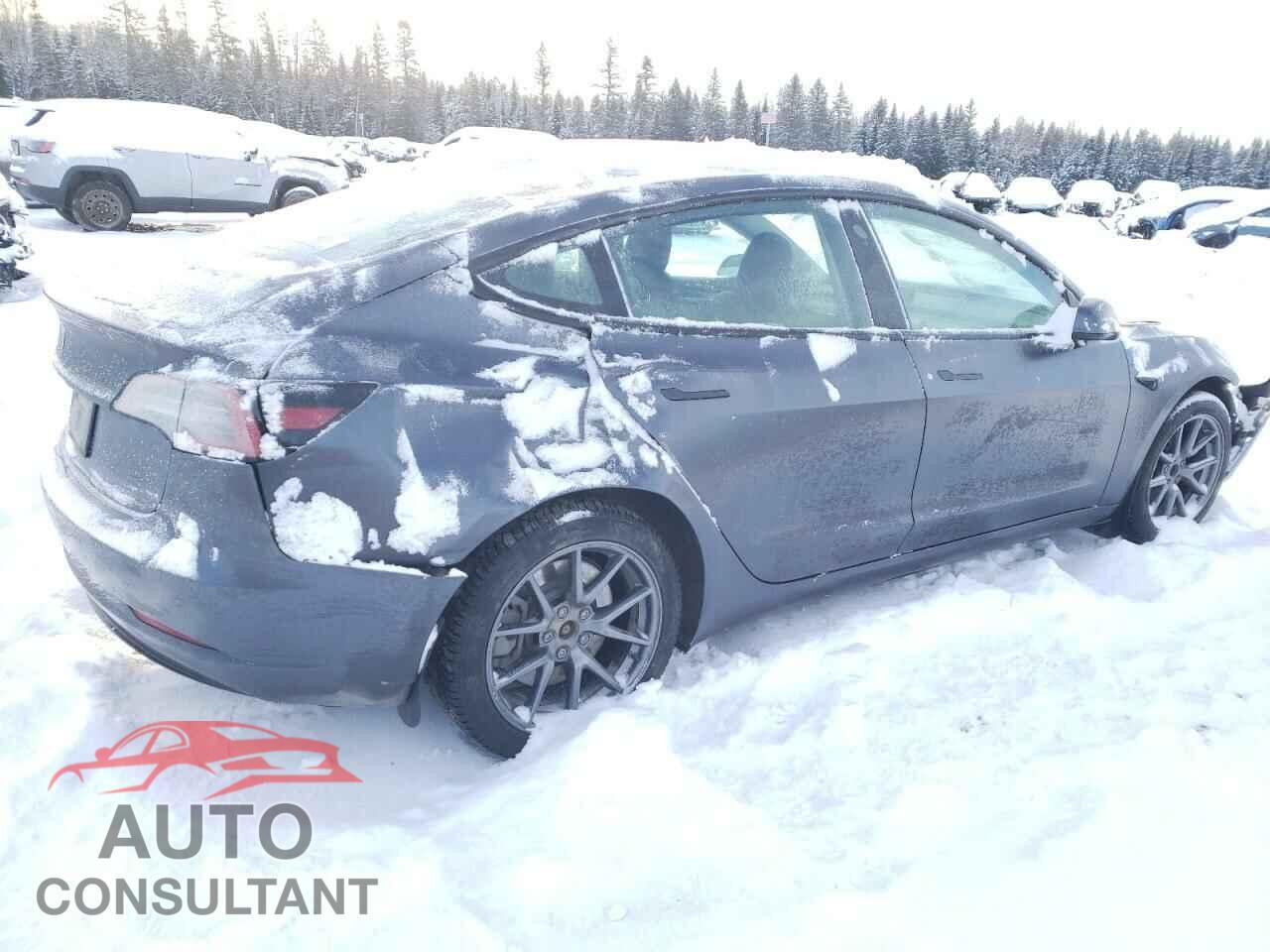 TESLA MODEL 3 2023 - LRW3E1FA9PC899953