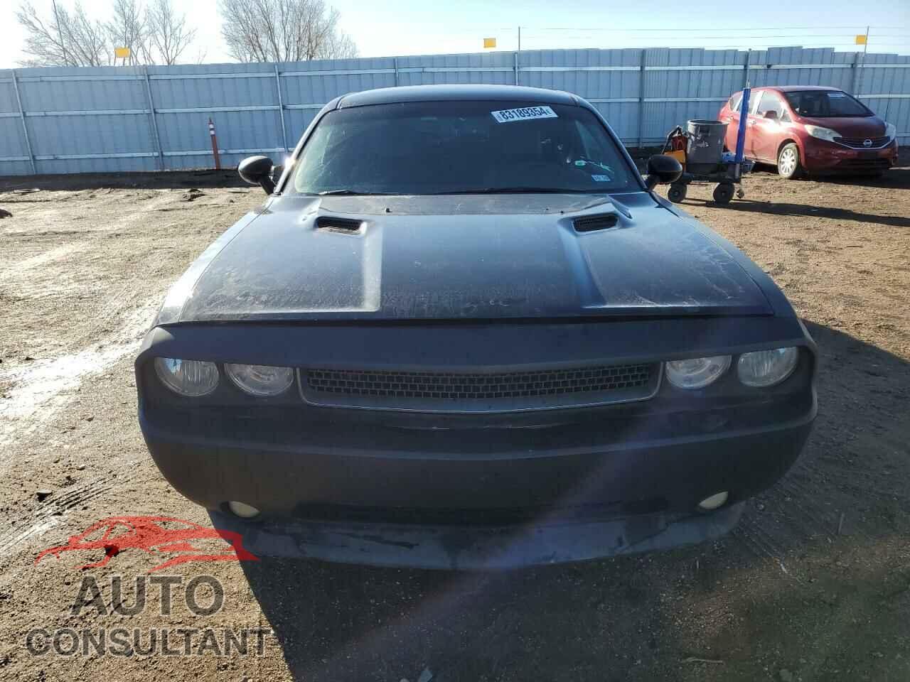 DODGE CHALLENGER 2013 - 2C3CDYAG9DH705302