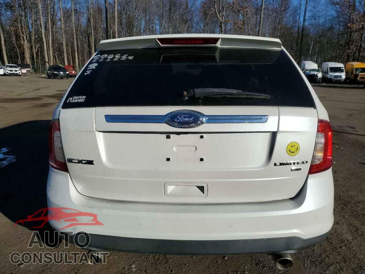 FORD EDGE 2011 - 2FMDK4KC8BBA51270