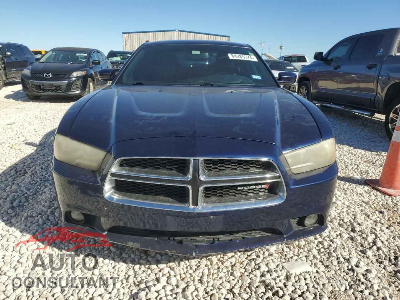 DODGE CHARGER 2014 - 2C3CDXHG1EH338588