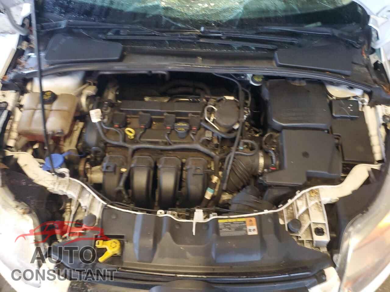 FORD FOCUS 2014 - 1FADP3F29EL255202