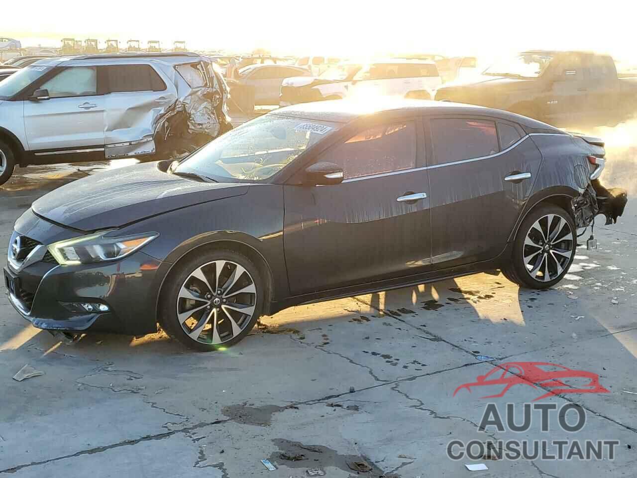 NISSAN MAXIMA 2016 - 1N4AA6AP1GC405959