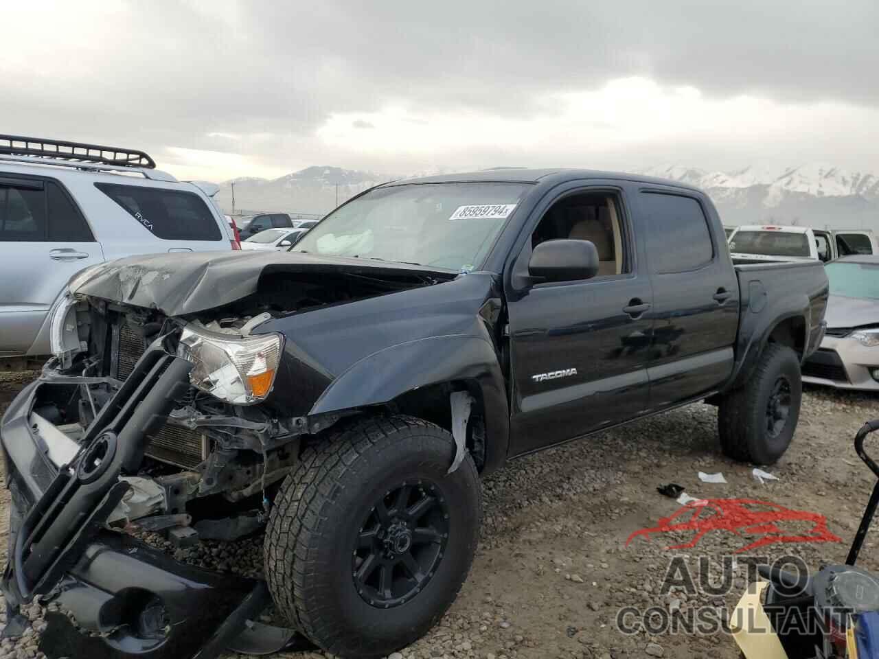 TOYOTA TACOMA 2009 - 3TMLU42N79M036859