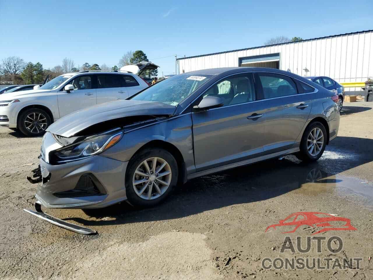 HYUNDAI SONATA 2019 - 5NPE24AF9KH771895