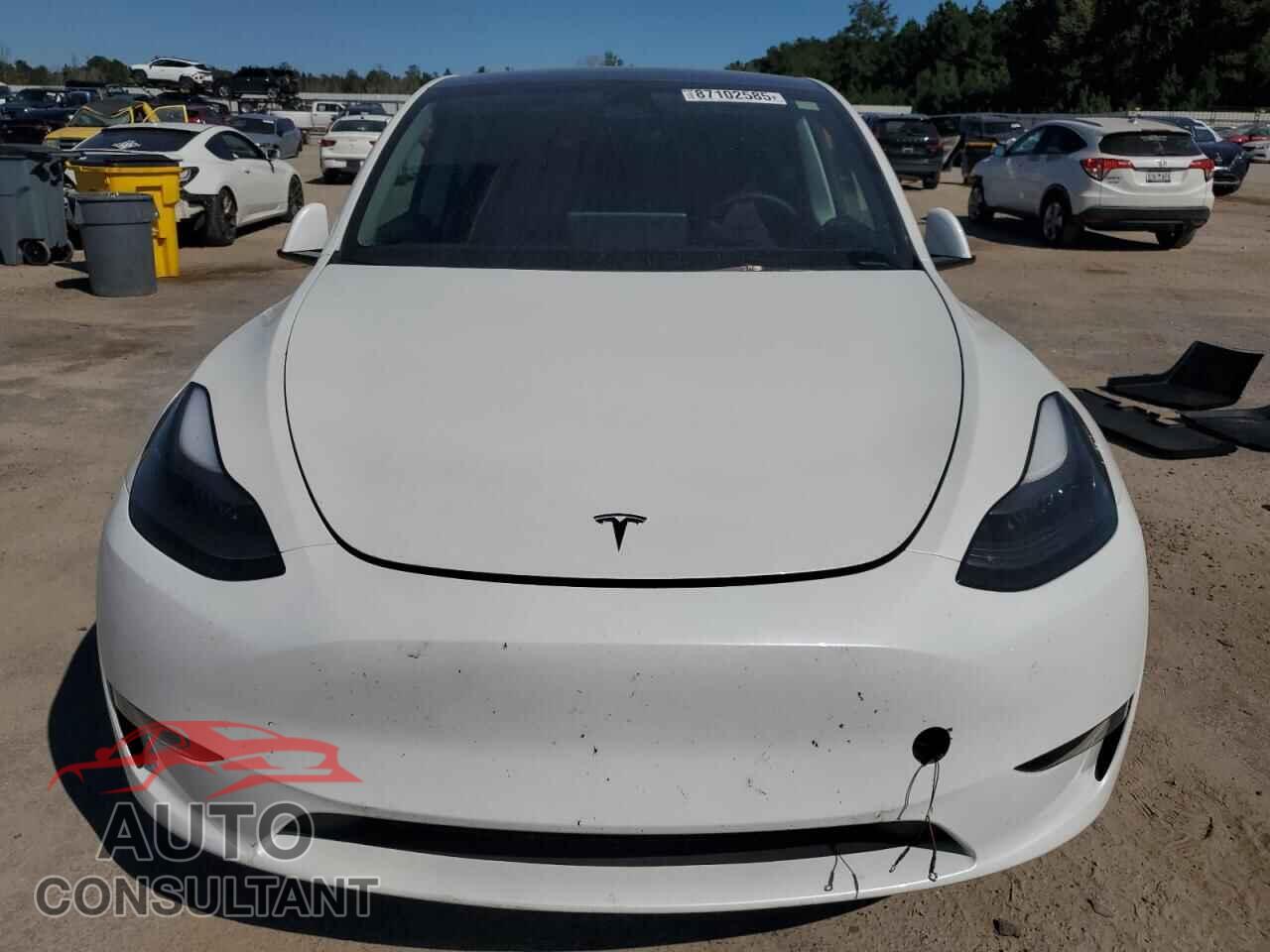 TESLA MODEL Y 2023 - 7SAYGAEE7PF877589