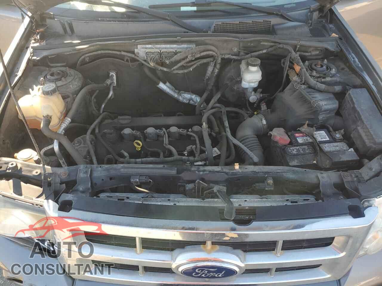 FORD ESCAPE 2010 - 1FMCU0D76AKB34991