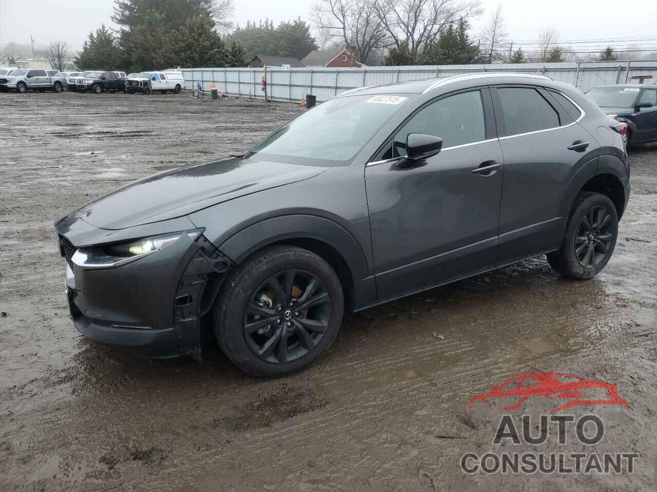 MAZDA CX30 2023 - 3MVDMBDYXPM555206