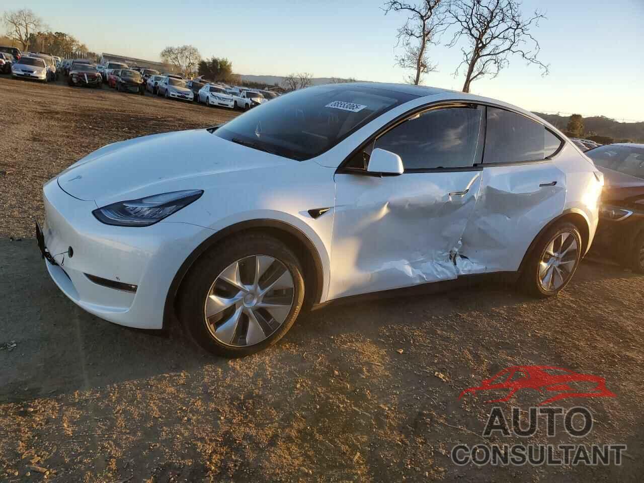 TESLA MODEL Y 2021 - 5YJYGDEE0MF172725