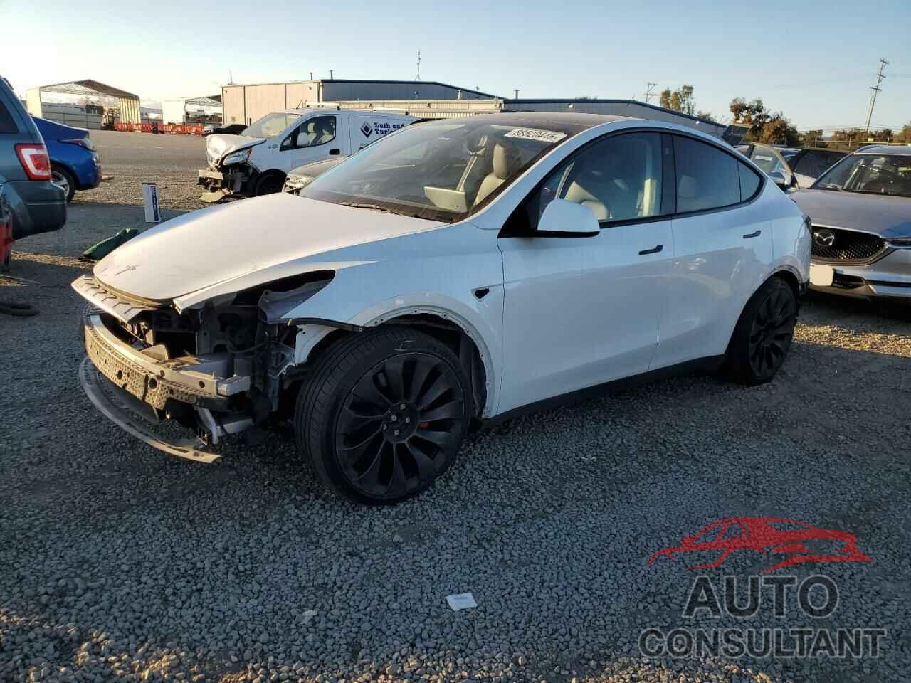 TESLA MODEL Y 2022 - 7SAYGDEF5NF493186