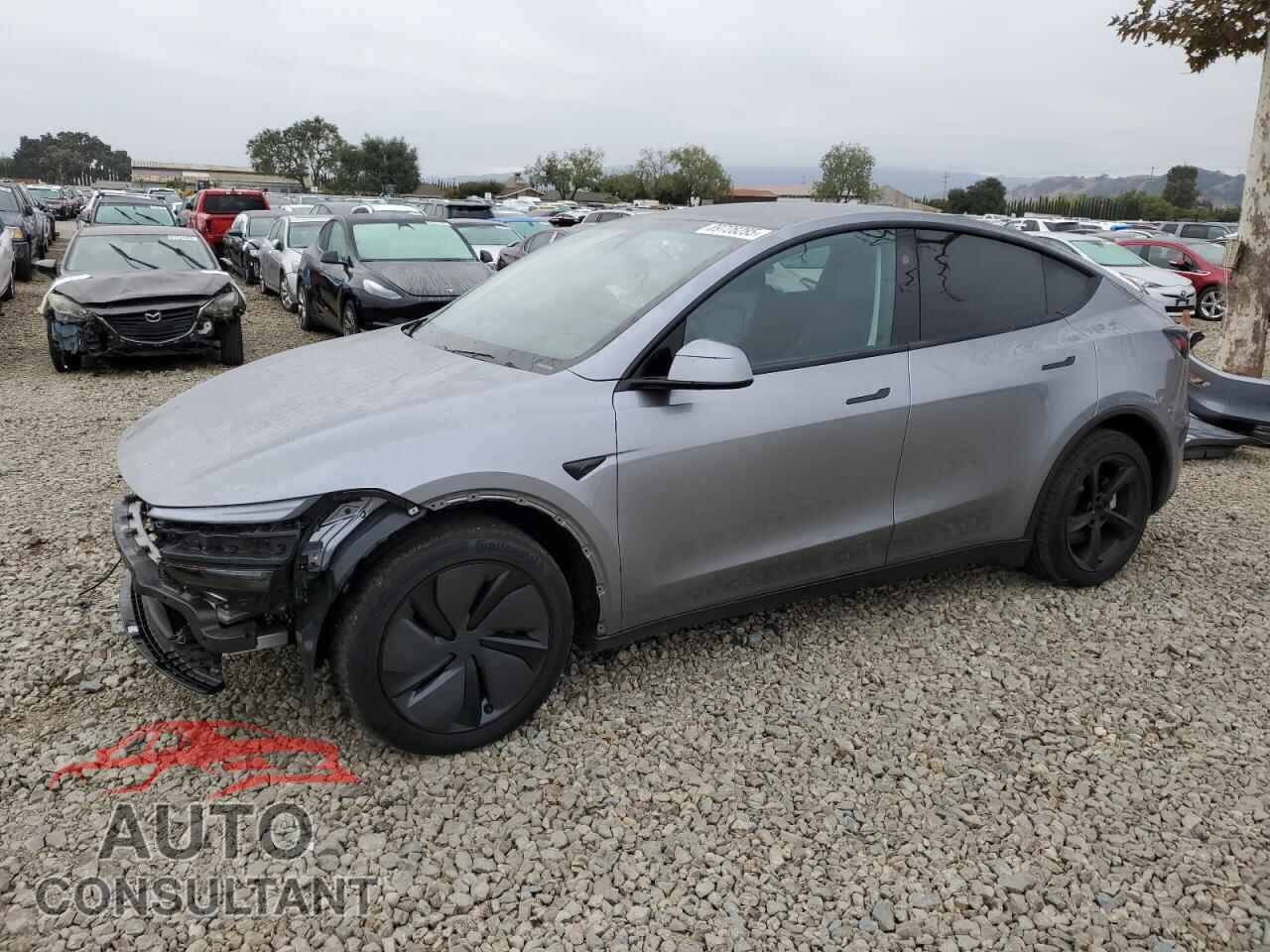 TESLA MODEL Y 2026 - 7SAYGDEEXTF324849