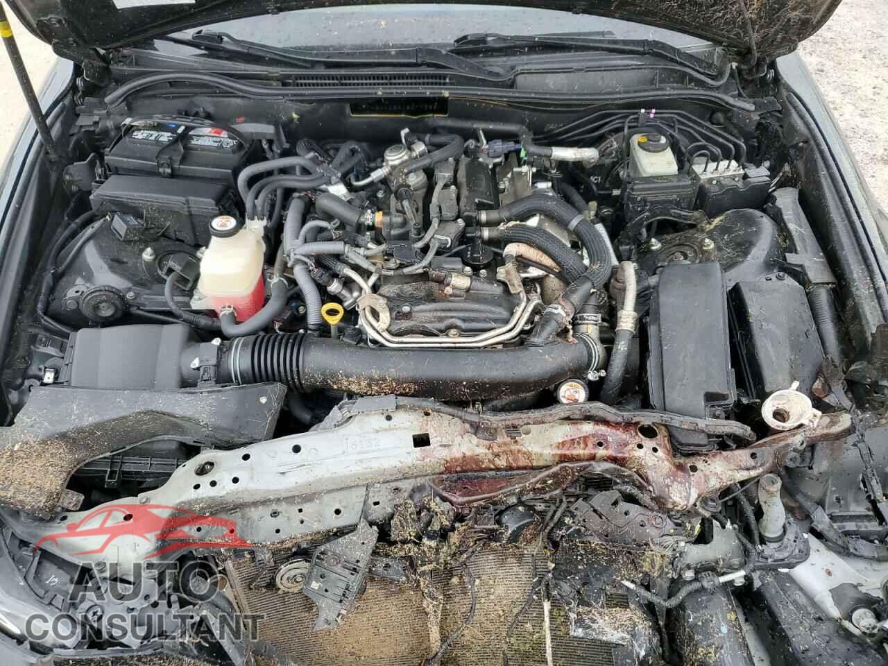 LEXUS IS 2018 - JTHBA1D24J5077366