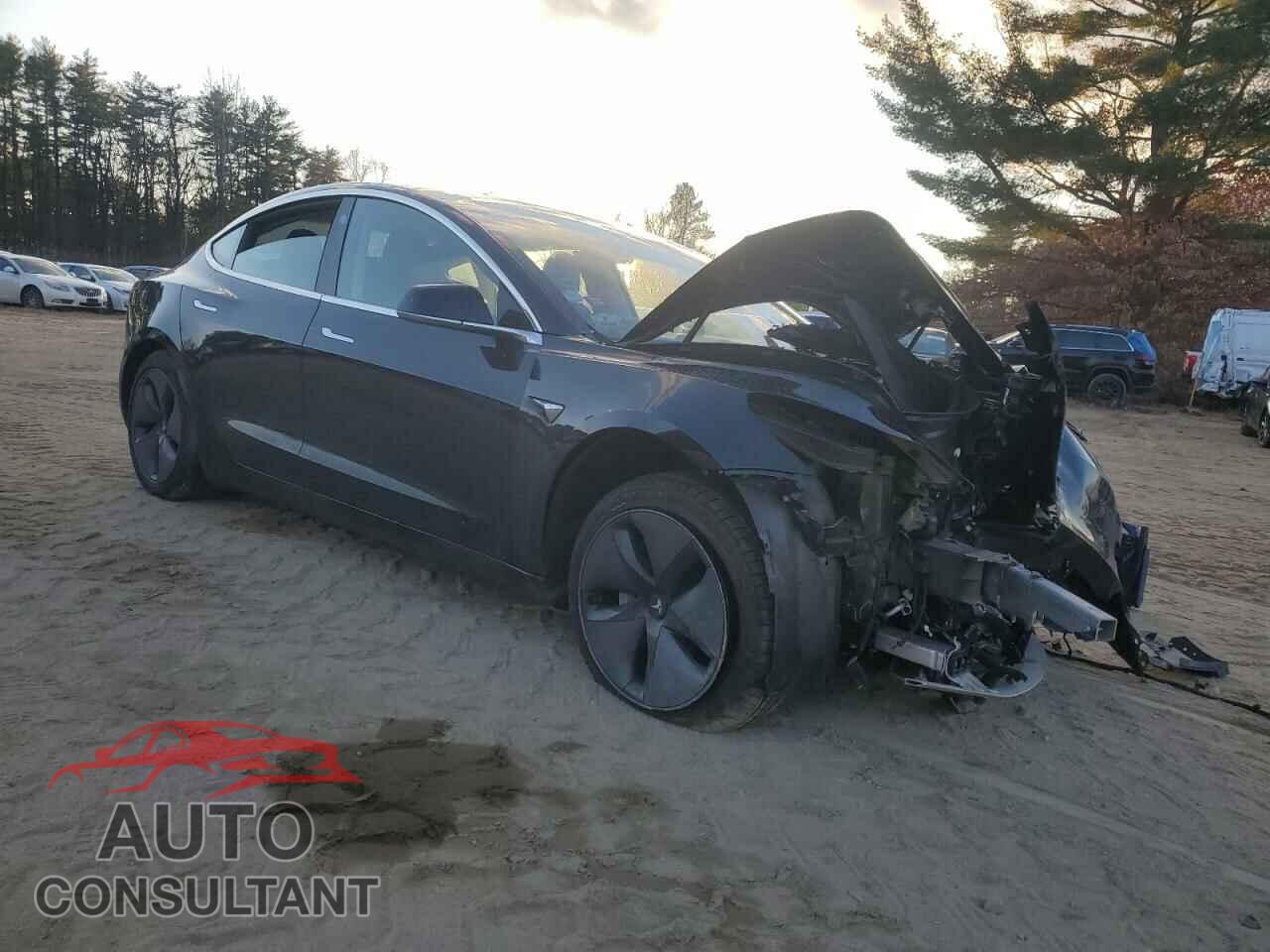 TESLA MODEL 3 2019 - 5YJ3E1EB3KF385587