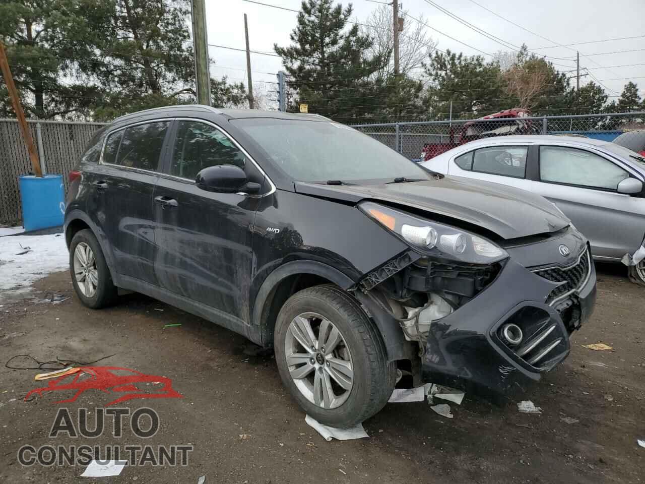 KIA SPORTAGE 2017 - KNDPMCAC3H7240496