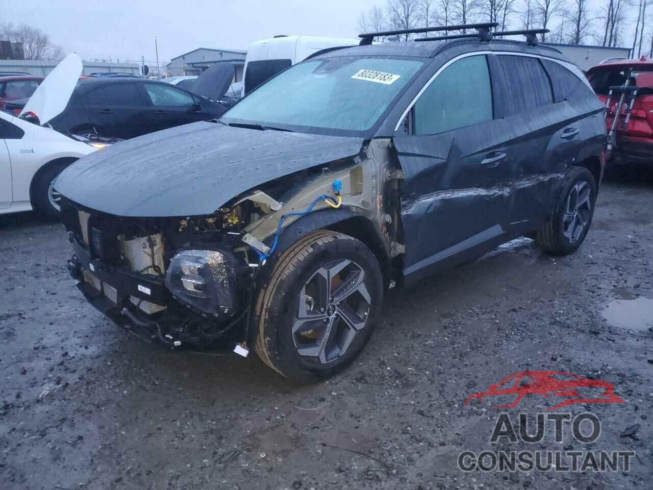 HYUNDAI TUCSON 2023 - KM8JECA15PU134421