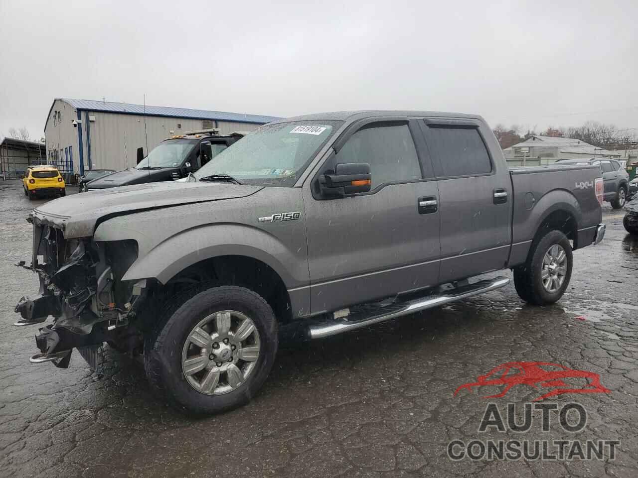 FORD F-150 2010 - 1FTEW1E89AFB21665