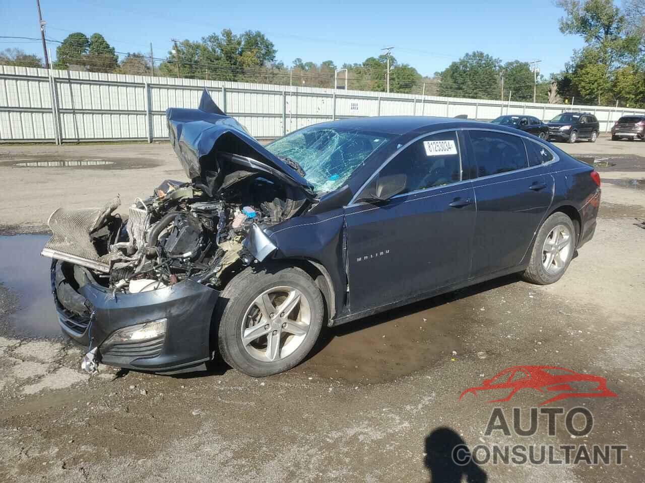 CHEVROLET MALIBU 2019 - 1G1ZB5ST1KF184234