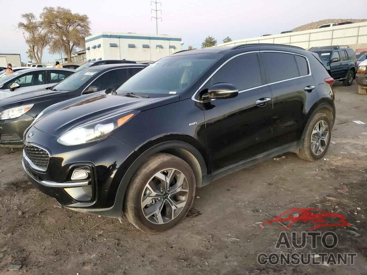 KIA SPORTAGE 2022 - KNDPNCAC9N7955162