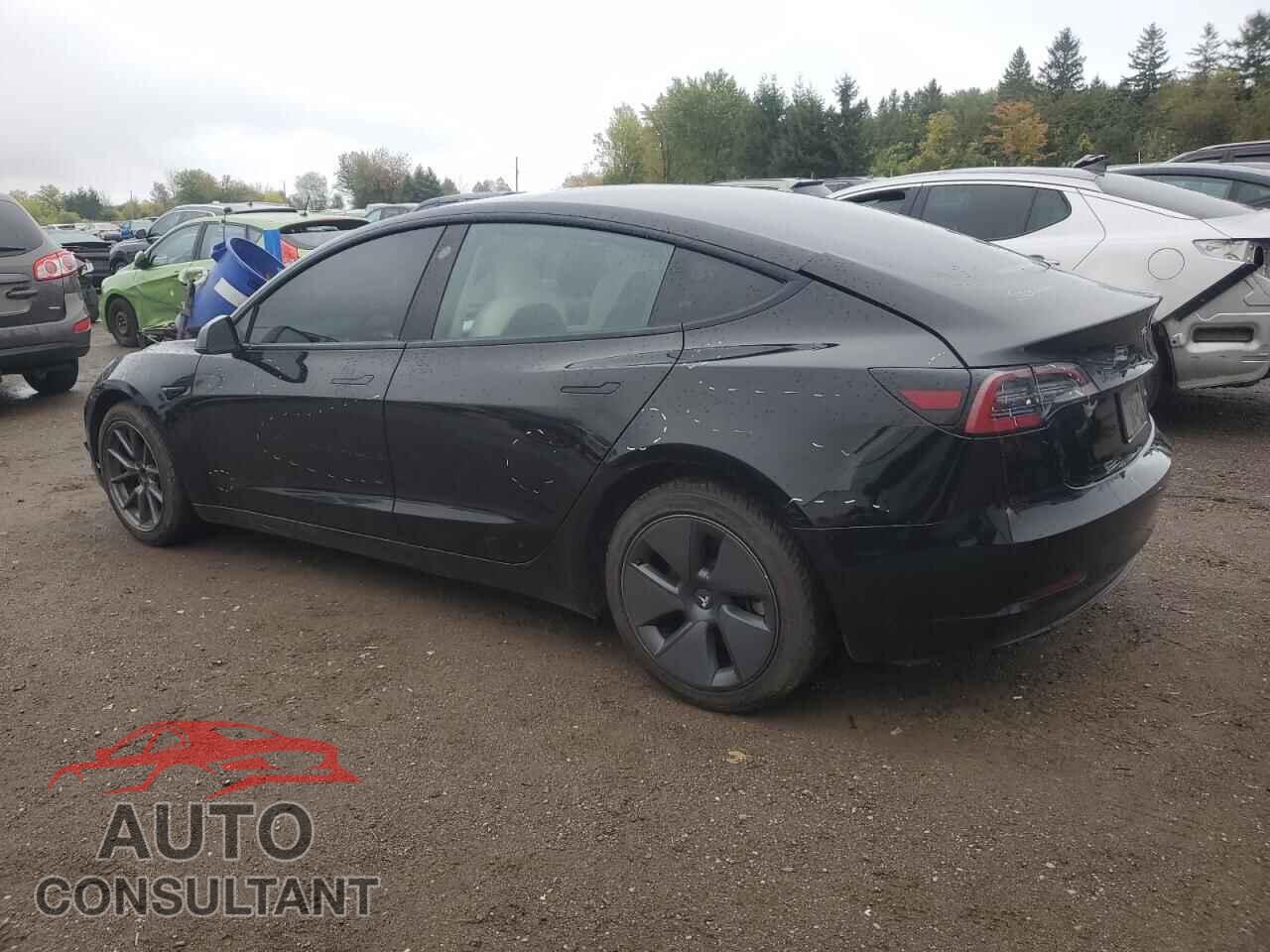 TESLA MODEL 3 2021 - 5YJ3E1EBXMF852846